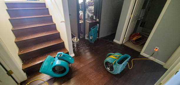 Best Carpet water damage restoration  in Springfield, OR