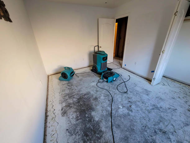 Best Water damage contractors near me  in Springfield, OR