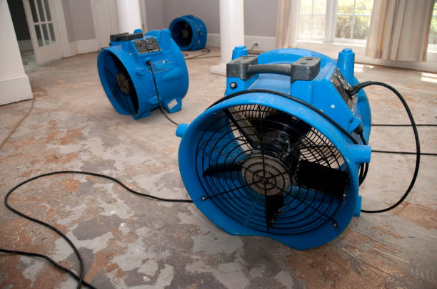 Best Mold removal after water damage  in Springfield, OR