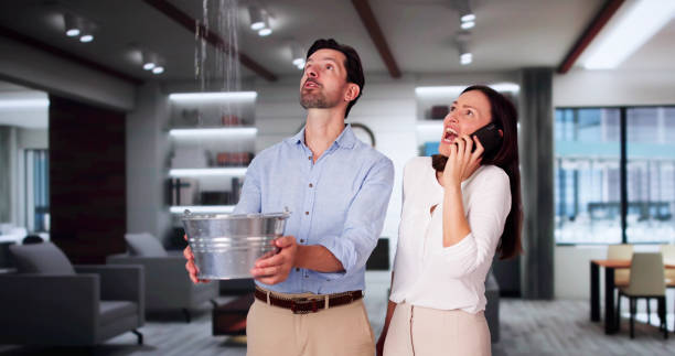 Best Residential water damage restoration  in Springfield, OR